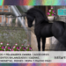 ¿Existieron los unicornios?