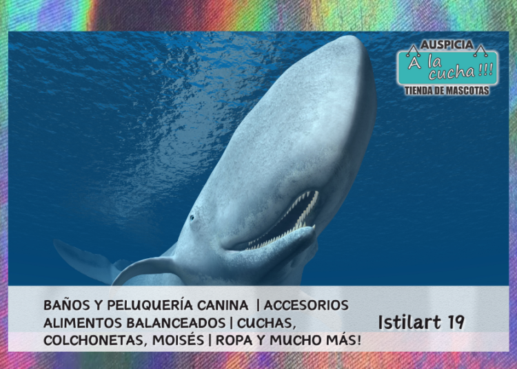 Cuál es el animal con el cerebro más grande de todos
