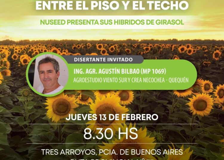 «Manejo de Girasol», jornada a campo propuesta por El Agropecuario