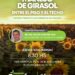«Manejo de Girasol», jornada a campo propuesta por El Agropecuario