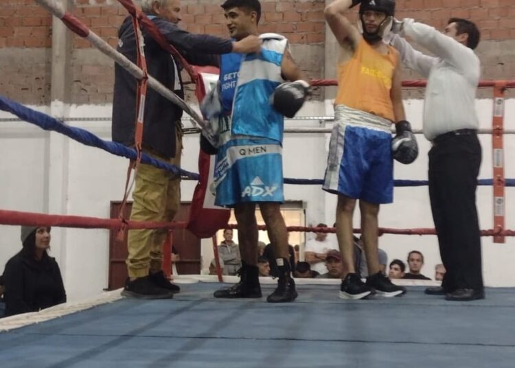 Nuevo Festival de exhibiciones de Boxeo