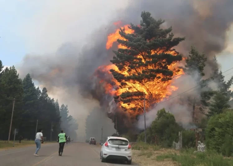 Brigadistas tresarroyenses se sumaron a combatir el fuego en El Bolsón
