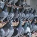Palomas de exportación
