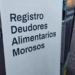 Se aprobó la Ley que actualiza el Registro de Deudores Alimentarios Morosos de la provincia de Buenos Aires