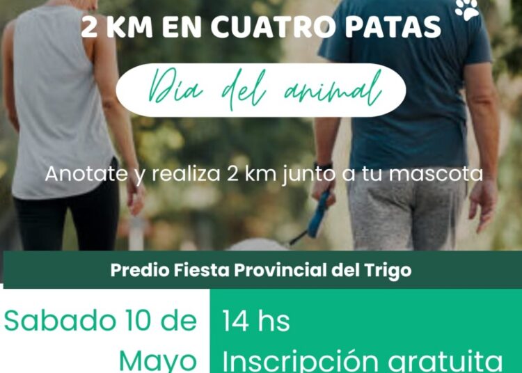 Kninata: celebrando el día del animal