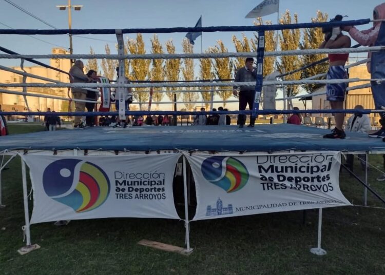 Exhibiciones de box en el predio ferial