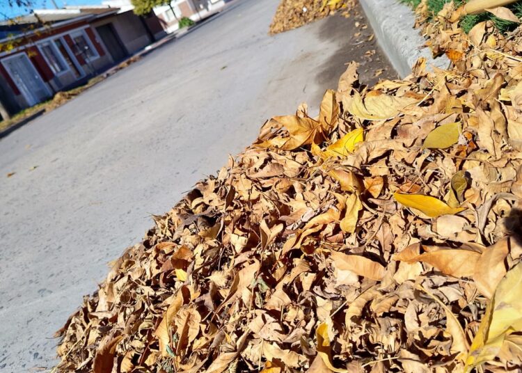 Operativo barrido en el centro: Una ciudad limpia la hacemos entre todos