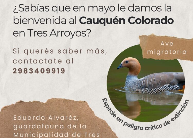 El Guardafaunas Alvarez ofrecerá charlas sobre los Cauquenes