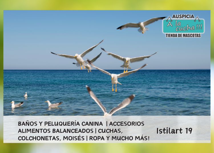 Las Gaviotas