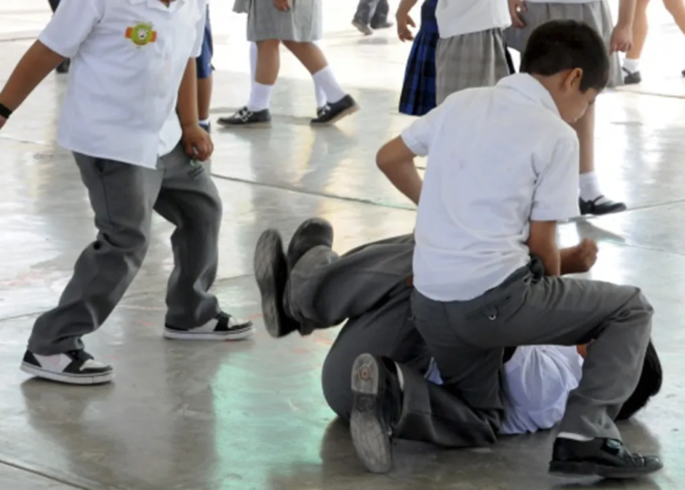 Preocupa la violencia adolescente: «Sin las familias, es imposible abordar estas situaciones»