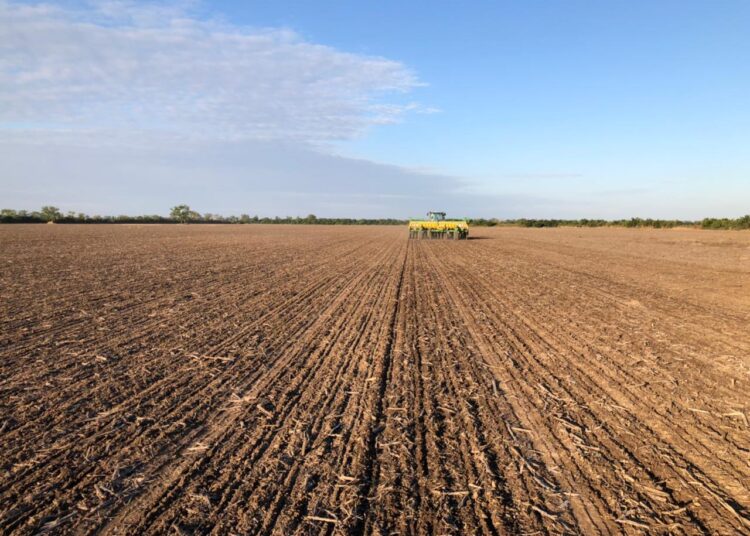 Zona núcleo: Pese a las demoras ocasionadas por las lluvias, se inició la siembra del trigo