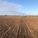 Zona núcleo: Pese a las demoras ocasionadas por las lluvias, se inició la siembra del trigo