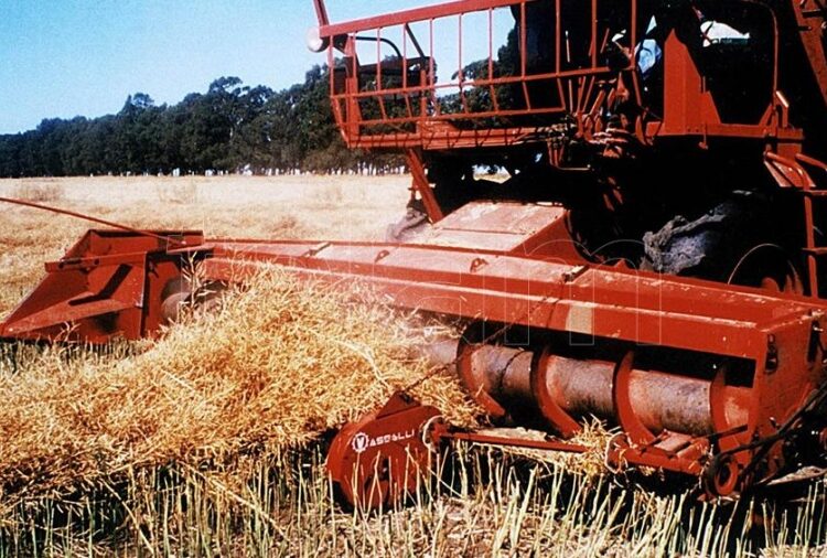 El campo apura la venta de soja antes que vuelvan a subir las retenciones