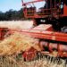 El campo apura la venta de soja antes que vuelvan a subir las retenciones