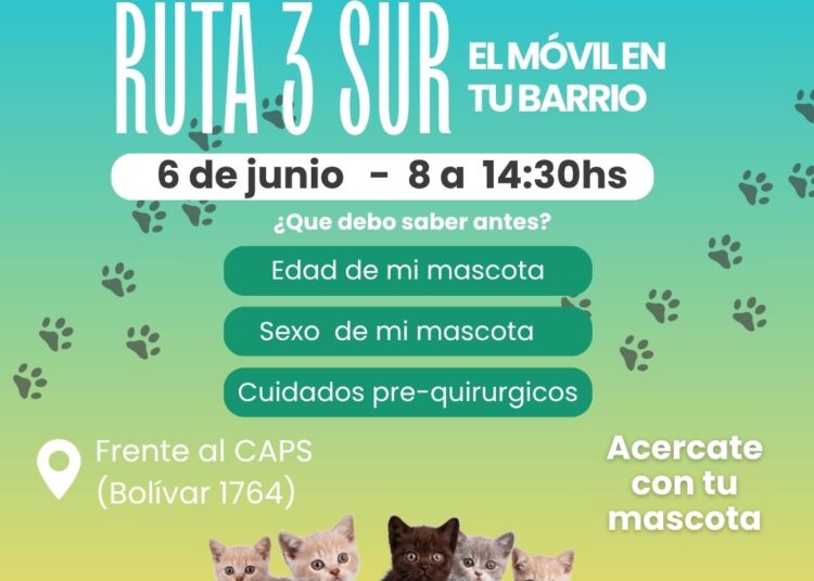 Llega el Festivalero, edición 2025