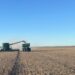 Según el informe de la Bolsa de Cereales, la cosecha de soja está técnicamente terminada