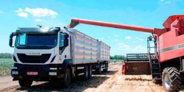 Oficializaron baja de retenciones a exportaciones de soja, carne, maíz, sorgo y girasol