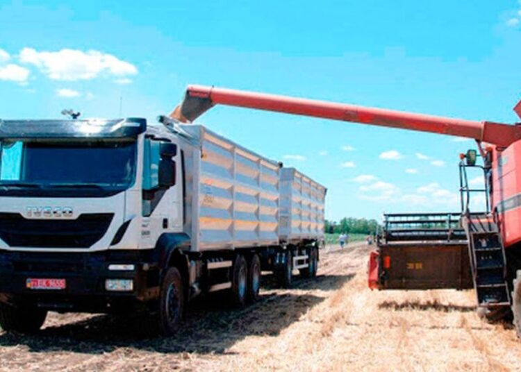 Oficializaron baja de retenciones a exportaciones de soja, carne, maíz, sorgo y girasol