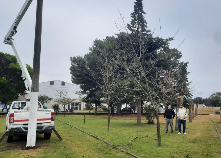 Recambiaron luminarias en la Plaza San Martín de Claromecó