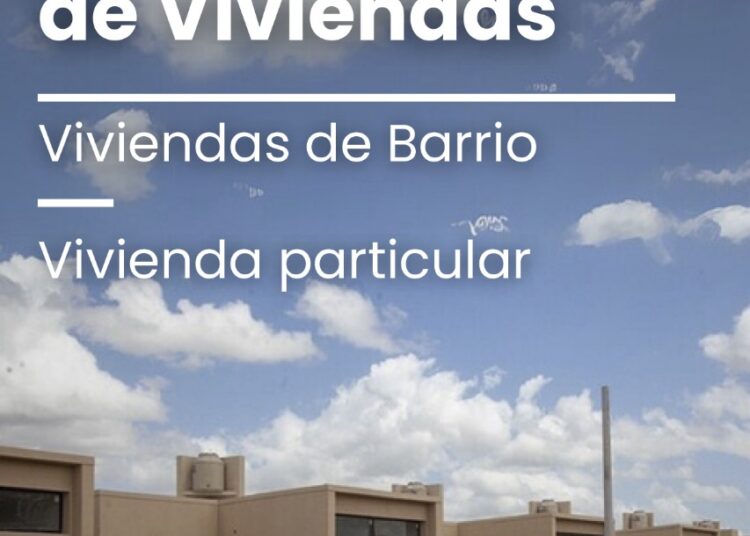 Encuentro, aprendizaje y comunidad: así cerró el primer cuatrimestre de PEMTA