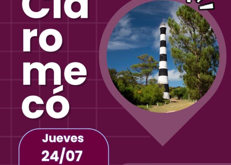 El 23 de julio se celebra a nivel mundial el Día dedicado a las Ballenas y los Delfines