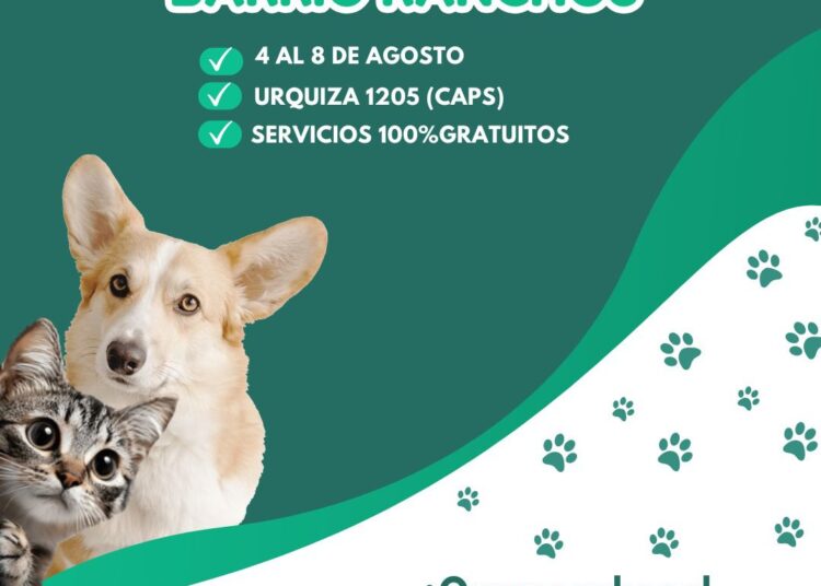 Comienza el segundo cuatrimestre de los talleres PEMTA en CRESTA