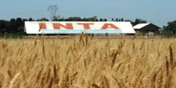 A pesar del rechazo legislativo, el Gobierno avanza con la reducción de la estructura del INTA