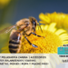 Las Abejas