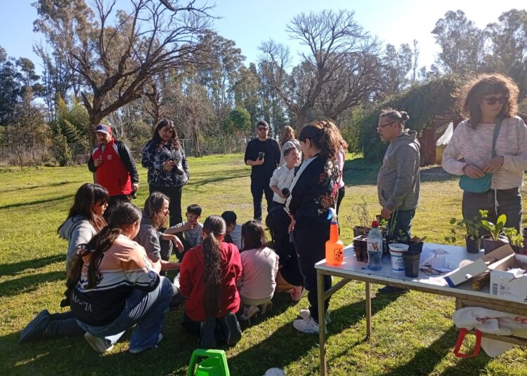 Éxito de la feria del parque en el parque cabañas
