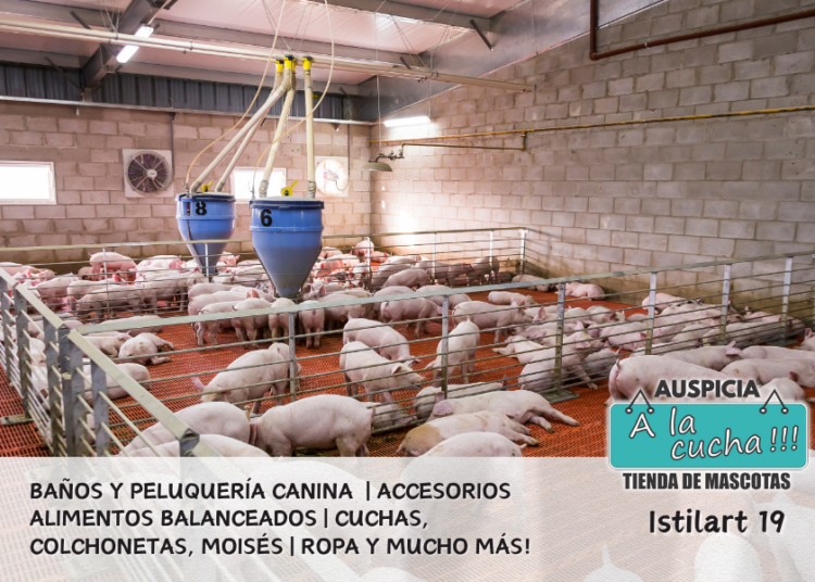 Vida Animal en el Campo Argentino