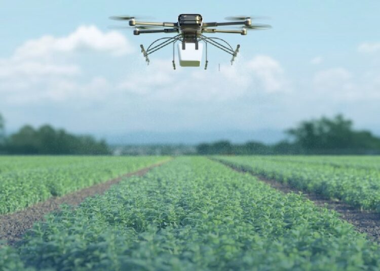 CRESTA: charla virtual para conocer ejes, modalidad y alcances de una Diplomatura innovadora para el Agro
