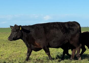 Tres Arroyos se suma a la Red Nacional de Municipios Agroecológicos