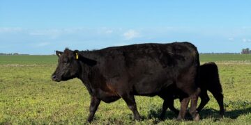 Tres Arroyos se suma a la Red Nacional de Municipios Agroecológicos