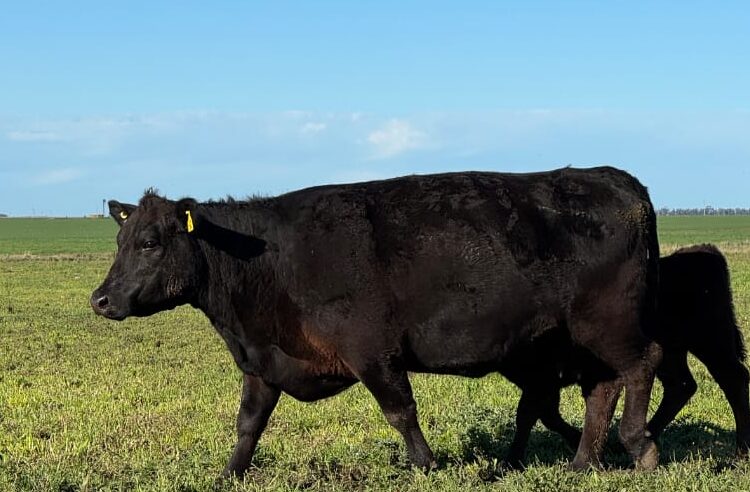 Tres Arroyos se suma a la Red Nacional de Municipios Agroecológicos