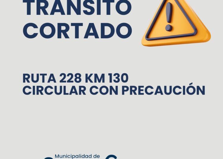 Ruta 228 cortada por la caída de un árbol