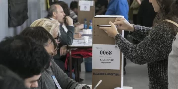 Todas las consultas sobre la elección