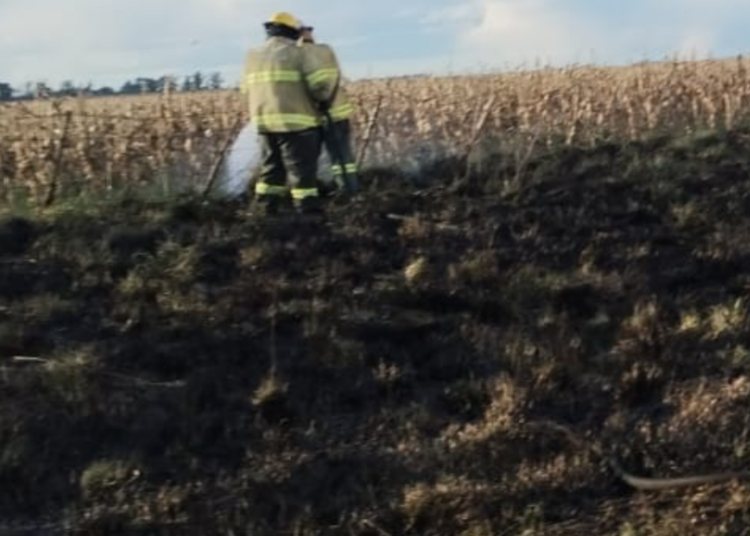 Claromecó: sofocaron incendio de rastrojo sobre ruta 73