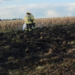 Claromecó: sofocaron incendio de rastrojo sobre ruta 73