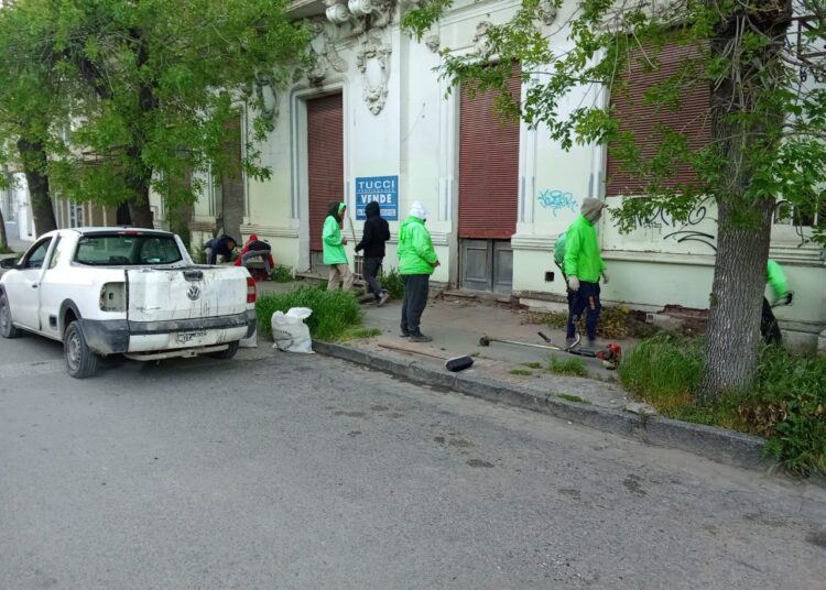 Limpieza e intimación por falta de mantenimiento en un edificio de calle Betolaza