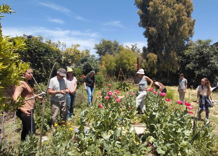 Noviembre, mes de la agroecología en Tres Arroyos