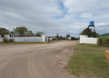 Servicio de recolección de residuos funcionará con normalidad en Tres Arroyos este lunes