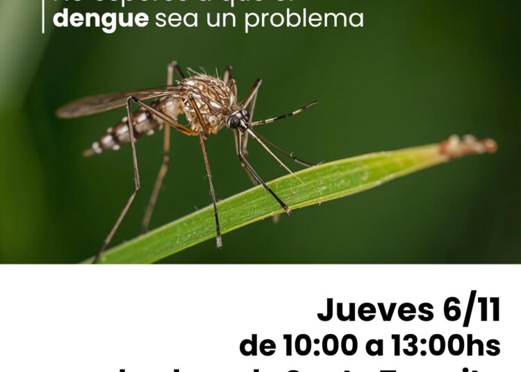 CRESTA 2026: este miércoles cierran las inscripciones para la Licenciatura en Administración Agraria
