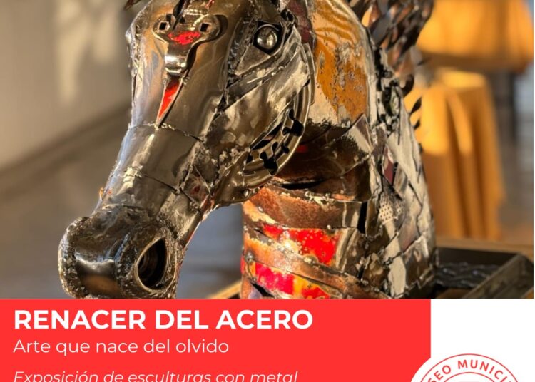 Museo Mulazzi: apertura de la muestra “Renacer del acero” en la sala I. Jaka