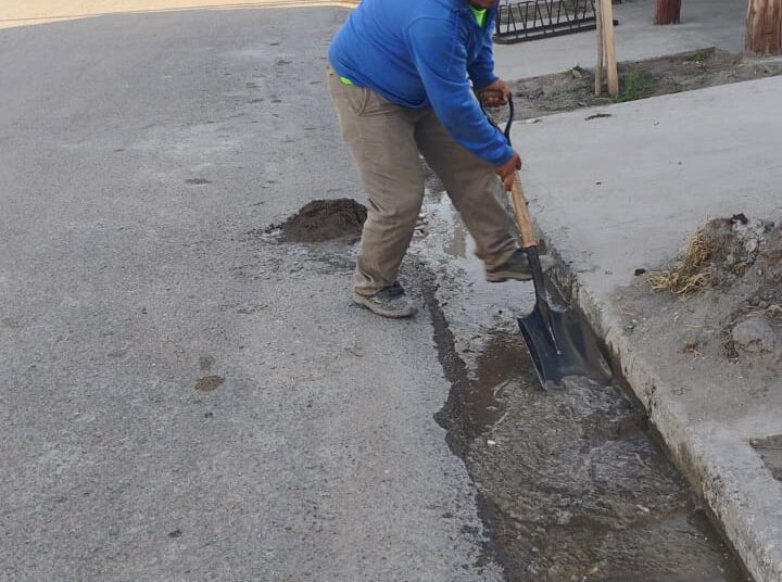 Comenzó el Programa de Playas Limpias y el Servicio de Guardavidas