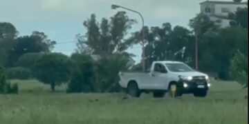 Sancionaron con más de medio millón de pesos a un conductor temerario