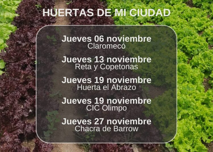 XI Mes de la Agroecología