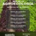 XI Mes de la Agroecología