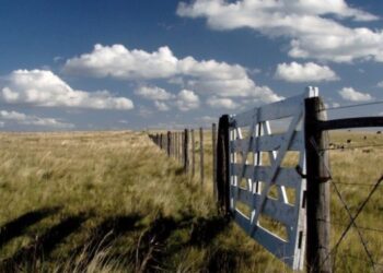 La Provincia bajará la Patente y congela el Inmobiliario Urbano y Rural