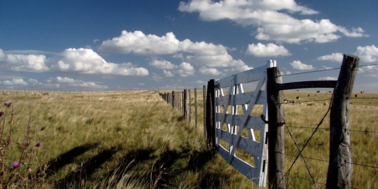 La Provincia bajará la Patente y congela el Inmobiliario Urbano y Rural