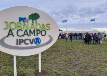 El establecimiento María Luisa será sede de una jornada del IPCVA con foco en ganadería y mercados internacionales